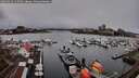 ./images/victoria/wharf/20260312/wharf20260312_115501M.jpg