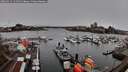 ./images/victoria/wharf/20260312/wharf20260312_131501M.jpg