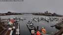./images/victoria/wharf/20260312/wharf20260312_134501M.jpg