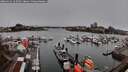 ./images/victoria/wharf/20260312/wharf20260312_142501M.jpg