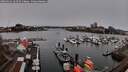 ./images/victoria/wharf/20260312/wharf20260312_164501M.jpg