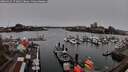 ./images/victoria/wharf/20260312/wharf20260312_173001M.jpg