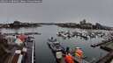 ./images/victoria/wharf/20260313/wharf20260313_082001M.jpg