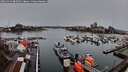 ./images/victoria/wharf/20260313/wharf20260313_082501M.jpg