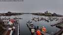 ./images/victoria/wharf/20260313/wharf20260313_084501M.jpg