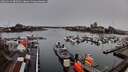 ./images/victoria/wharf/20260313/wharf20260313_085002M.jpg