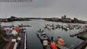./images/victoria/wharf/20260313/wharf20260313_091001M.jpg