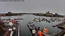 ./images/victoria/wharf/20260313/wharf20260313_092002M.jpg
