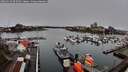 ./images/victoria/wharf/20260313/wharf20260313_092502M.jpg