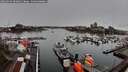 ./images/victoria/wharf/20260313/wharf20260313_094001M.jpg