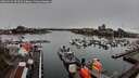 ./images/victoria/wharf/20260313/wharf20260313_094501M.jpg