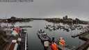./images/victoria/wharf/20260313/wharf20260313_095501M.jpg