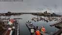 ./images/victoria/wharf/20260313/wharf20260313_101501M.jpg