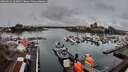 ./images/victoria/wharf/20260313/wharf20260313_103001M.jpg