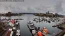 ./images/victoria/wharf/20260313/wharf20260313_111001M.jpg