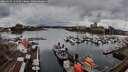 ./images/victoria/wharf/20260313/wharf20260313_131502M.jpg