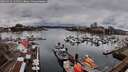 ./images/victoria/wharf/20260313/wharf20260313_134501M.jpg
