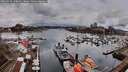 ./images/victoria/wharf/20260313/wharf20260313_140001M.jpg