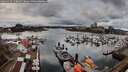 ./images/victoria/wharf/20260313/wharf20260313_150002M.jpg