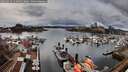 ./images/victoria/wharf/20260313/wharf20260313_151001M.jpg