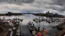 ./images/victoria/wharf/20260313/wharf20260313_153001M.jpg