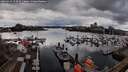./images/victoria/wharf/20260313/wharf20260313_153502M.jpg