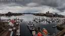 ./images/victoria/wharf/20260313/wharf20260313_154001M.jpg