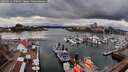 ./images/victoria/wharf/20260313/wharf20260313_170502M.jpg