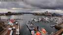 ./images/victoria/wharf/20260313/wharf20260313_171001M.jpg