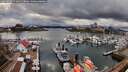 ./images/victoria/wharf/20260313/wharf20260313_172002M.jpg
