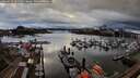 ./images/victoria/wharf/20260313/wharf20260313_181501M.jpg