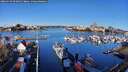 ./images/victoria/wharf/20260314/wharf20260314_092002M.jpg