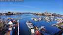 ./images/victoria/wharf/20260314/wharf20260314_102501M.jpg
