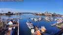 ./images/victoria/wharf/20260314/wharf20260314_105001M.jpg