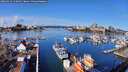 ./images/victoria/wharf/20260314/wharf20260314_110001M.jpg