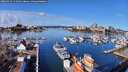 ./images/victoria/wharf/20260314/wharf20260314_111001M.jpg