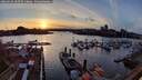 ./images/victoria/wharf/20260314/wharf20260314_185501M.jpg