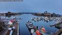 ./images/victoria/wharf/20260315/wharf20260315_074501M.jpg
