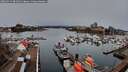 ./images/victoria/wharf/20260315/wharf20260315_081001M.jpg