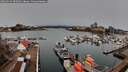 ./images/victoria/wharf/20260315/wharf20260315_090502M.jpg