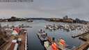 ./images/victoria/wharf/20260315/wharf20260315_105001M.jpg