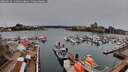 ./images/victoria/wharf/20260315/wharf20260315_131001M.jpg