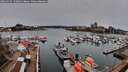 ./images/victoria/wharf/20260315/wharf20260315_132002M.jpg