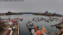 ./images/victoria/wharf/20260315/wharf20260315_134001M.jpg