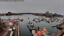 ./images/victoria/wharf/20260315/wharf20260315_135002M.jpg