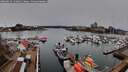 ./images/victoria/wharf/20260315/wharf20260315_140002M.jpg