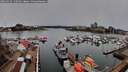 ./images/victoria/wharf/20260315/wharf20260315_140501M.jpg