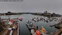 ./images/victoria/wharf/20260315/wharf20260315_142002M.jpg