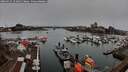 ./images/victoria/wharf/20260315/wharf20260315_152002M.jpg