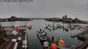 ./images/victoria/wharf/20260315/wharf20260315_155001M.jpg